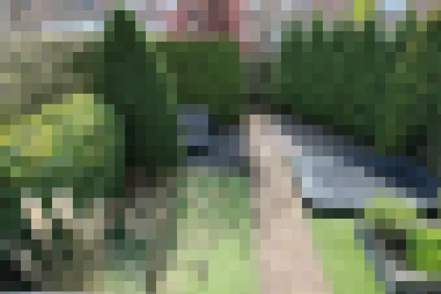 Wisselkom 8 Steenbergen thumbnail 41