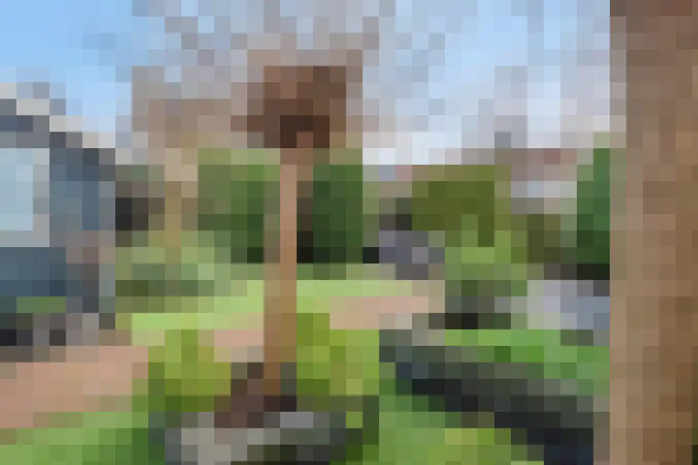 Wisselkom 8 Steenbergen thumbnail 42