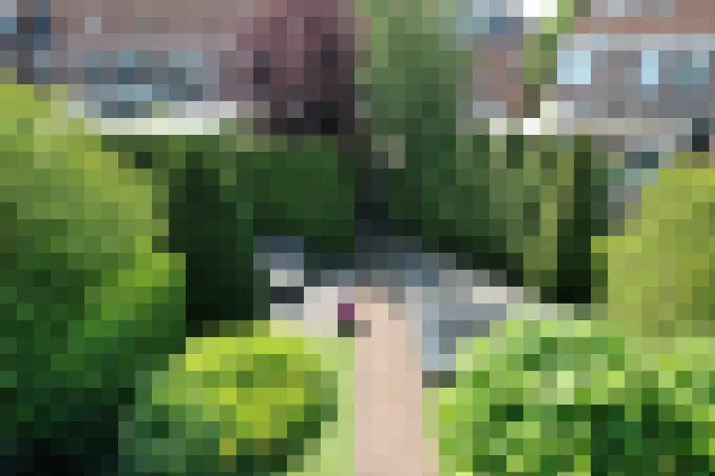 Wisselkom 8 Steenbergen thumbnail 43