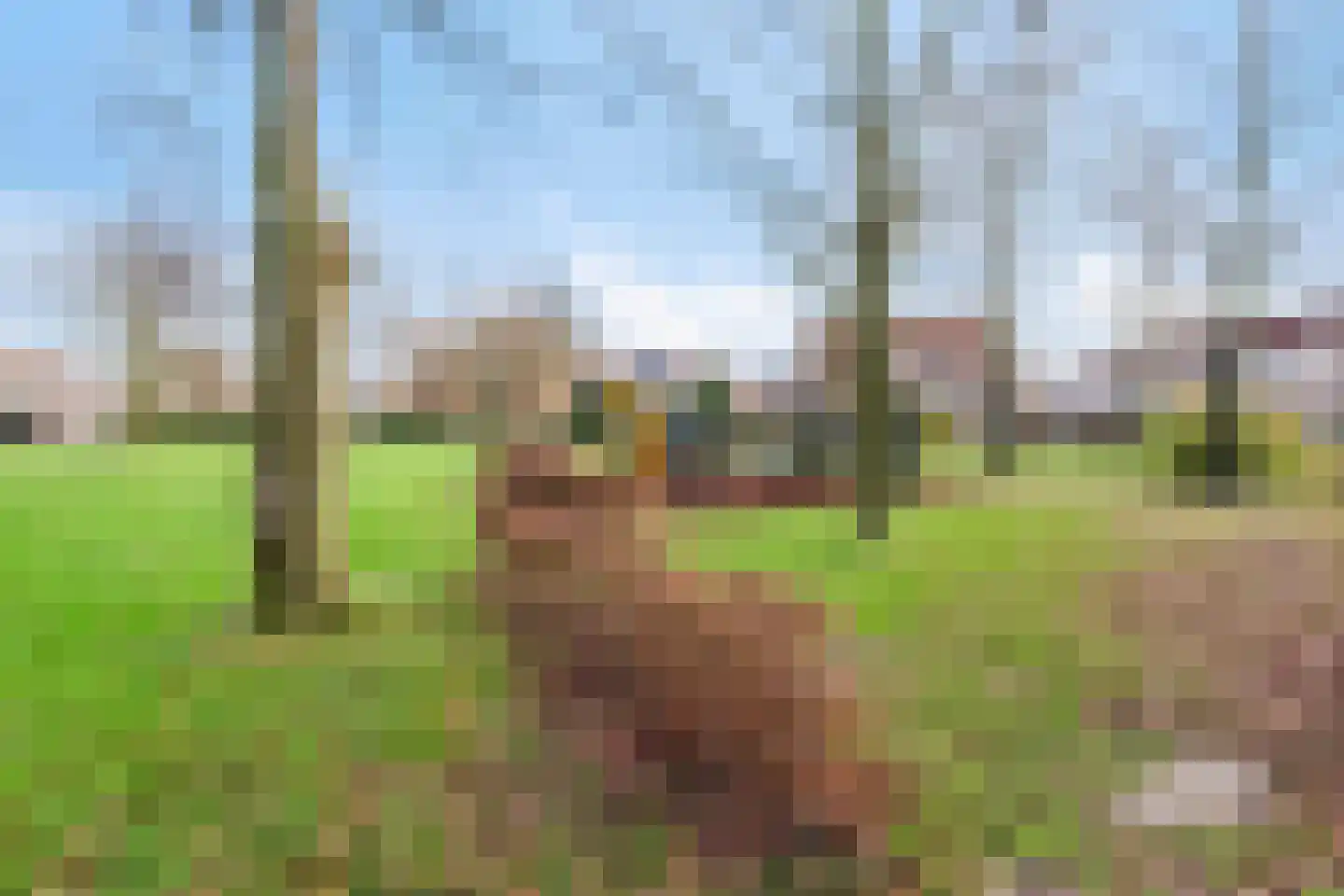 Wisselkom 8 Steenbergen thumbnail 47