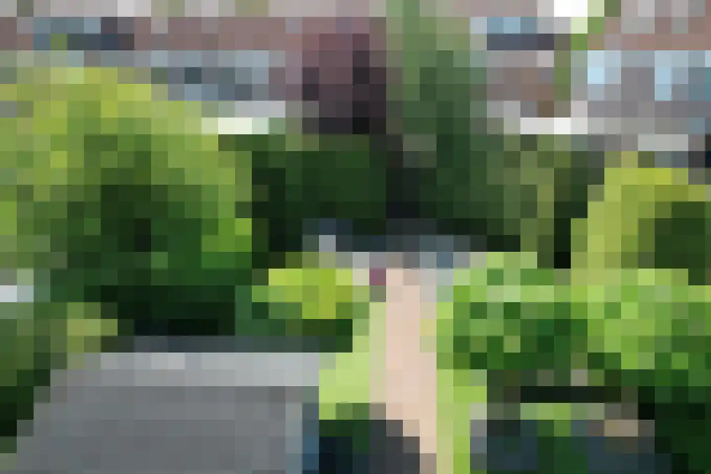 Wisselkom 8 Steenbergen thumbnail 47