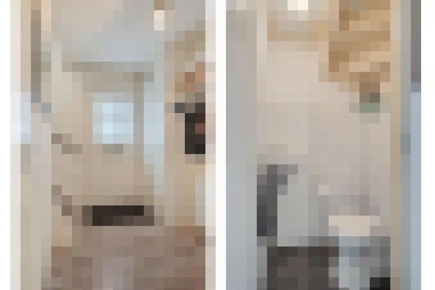 Wisselkom 8 Steenbergen thumbnail 5