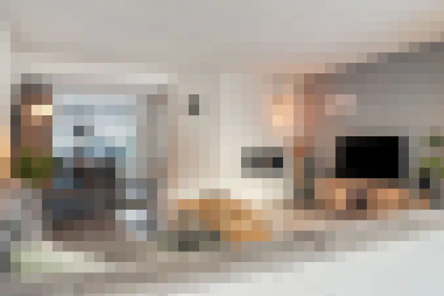 Wisselkom 8 Steenbergen thumbnail 9
