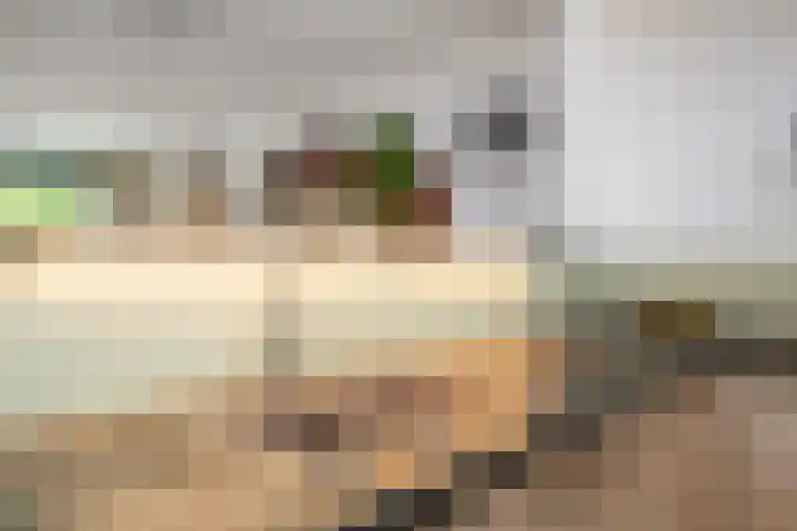 Wissellaan 16 Bilthoven thumbnail 10