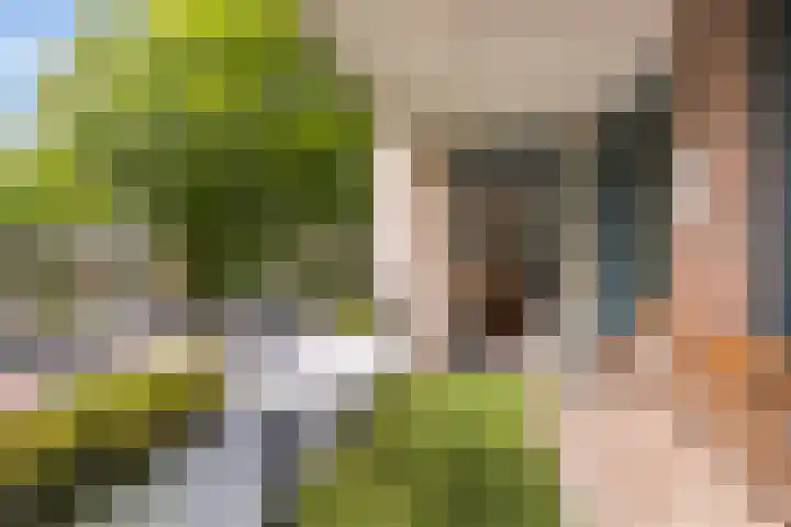 Wissellaan 16 Bilthoven thumbnail 19