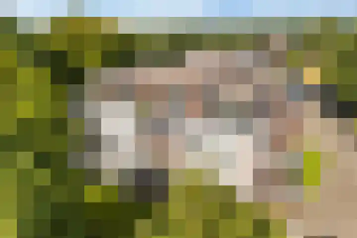 Wissellaan 16 Bilthoven thumbnail 32