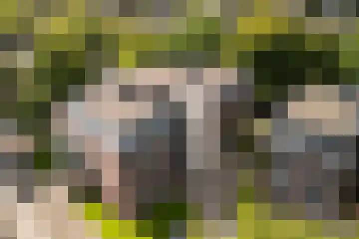 Wissellaan 16 Bilthoven thumbnail 35