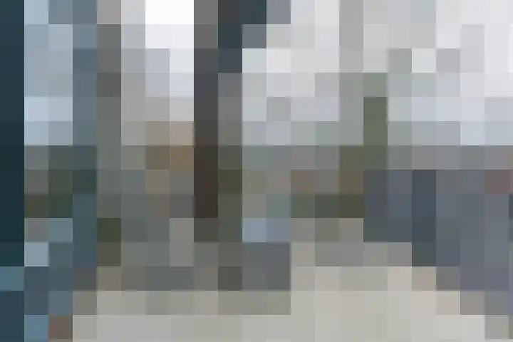 Wissellaan 18 Bilthoven thumbnail 18