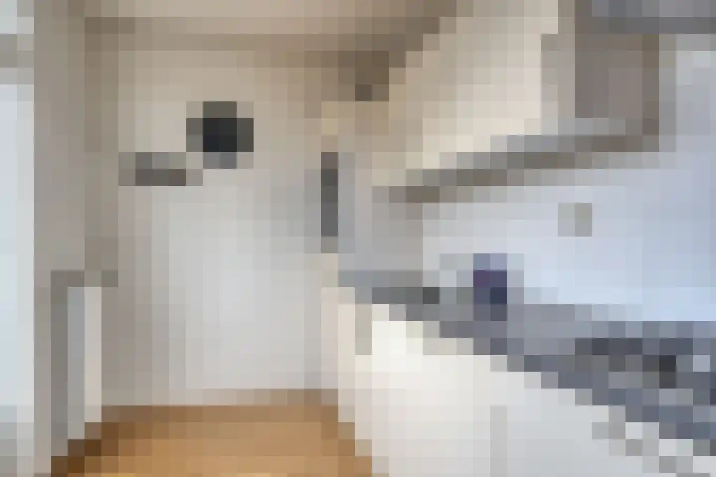 Wisseloord 73 Amsterdam thumbnail 9