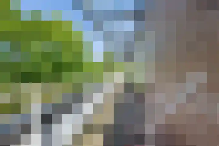 Wisseloordlaan 131 Hilversum thumbnail 29