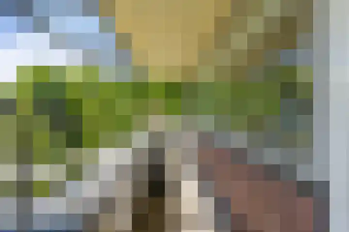 Wisseloordlaan 131 Hilversum thumbnail 30