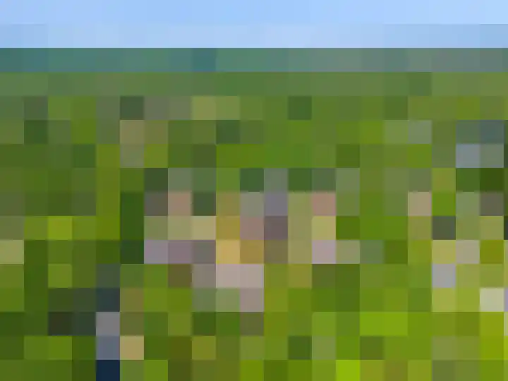 Wisseloordlaan 131 Hilversum thumbnail 37