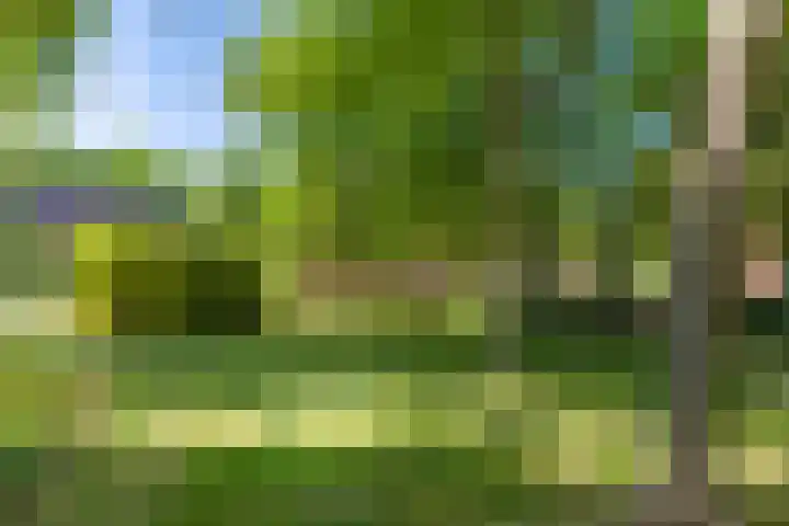 Wisseloordlaan 131 Hilversum thumbnail 40