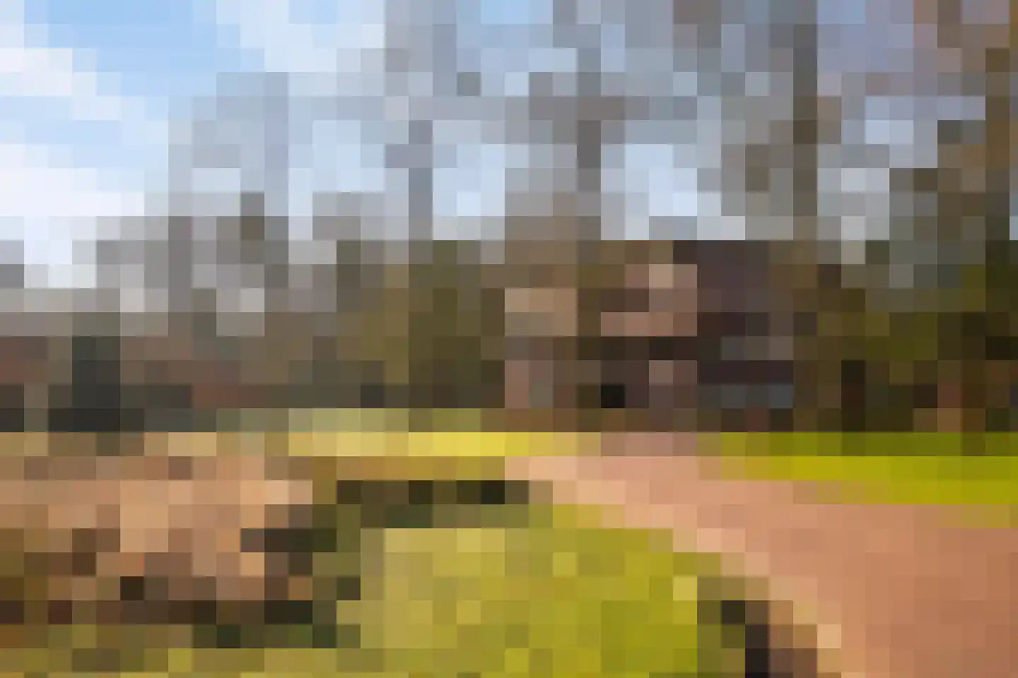 Wisseloordlaan 137 Hilversum thumbnail 4