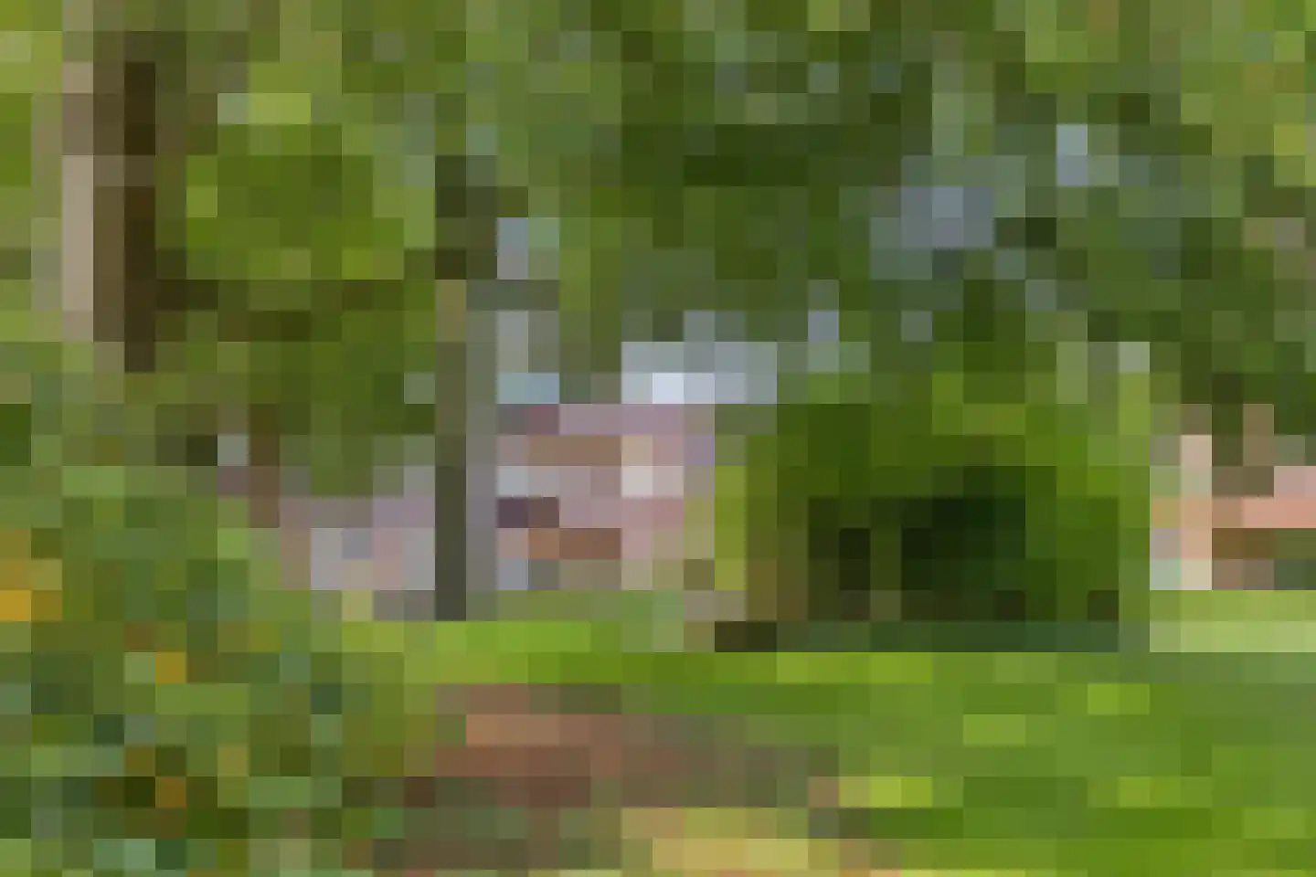 Wisseloordlaan 165 Hilversum thumbnail 45