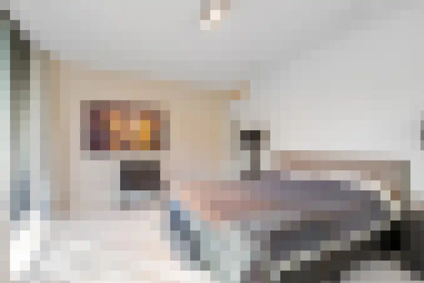Wisseloordlaan 183 Hilversum thumbnail 15