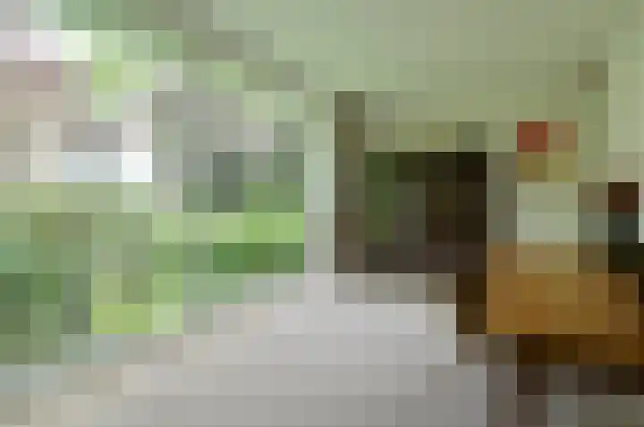Wisseloordlaan 207 Hilversum thumbnail 17