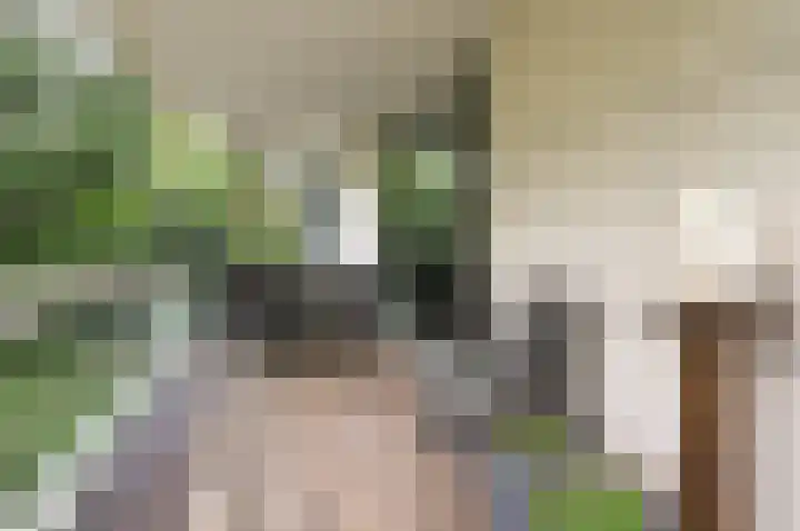 Wisseloordlaan 207 Hilversum thumbnail 20