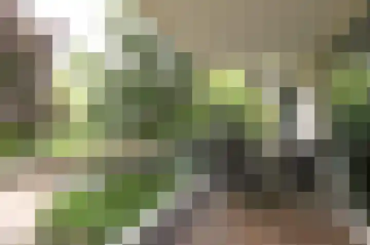 Wisseloordlaan 207 Hilversum thumbnail 21