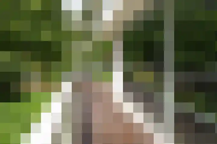 Wisseloordlaan 207 Hilversum thumbnail 22