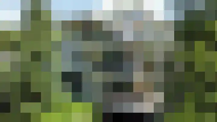 Wisseloordlaan 207 Hilversum thumbnail 23