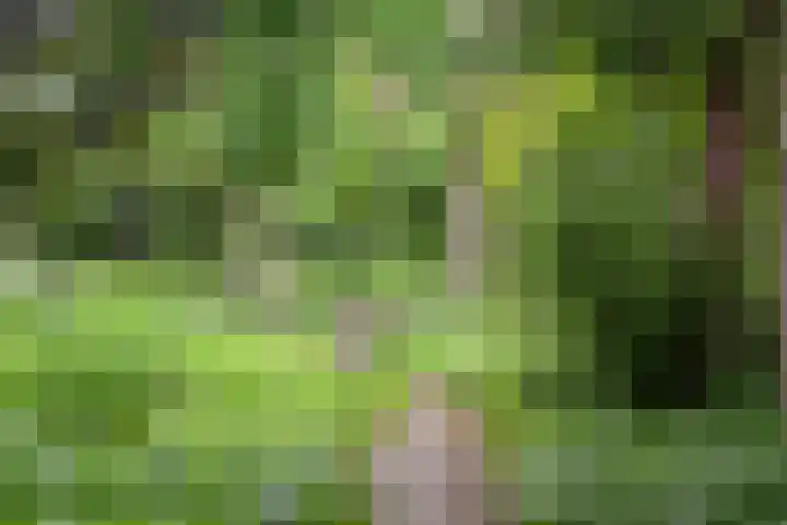 Wisseloordlaan 207 Hilversum thumbnail 24