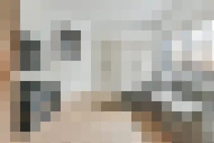 Wisseloordlaan 8 Hilversum thumbnail 12