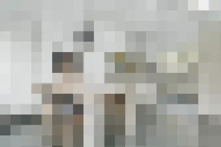 Wisseloordlaan 8 Hilversum thumbnail 15