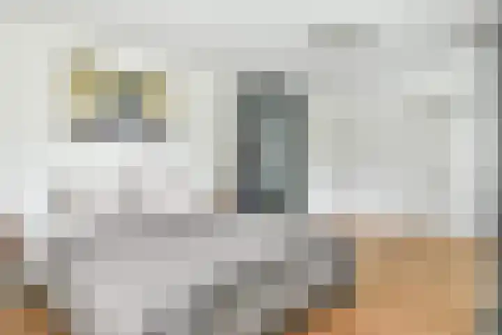 Wisseloordlaan 8 Hilversum thumbnail 24