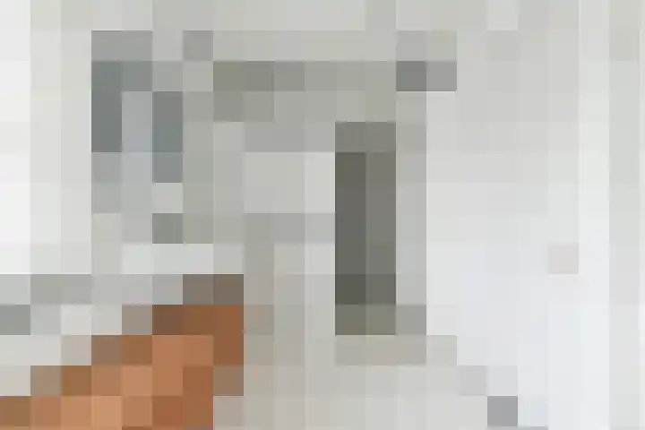 Wisseloordlaan 8 Hilversum thumbnail 26
