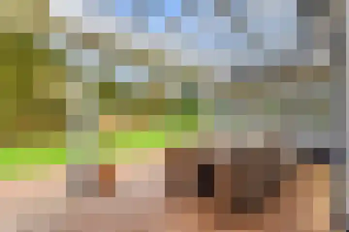 Wisseloordlaan 8 Hilversum thumbnail 43