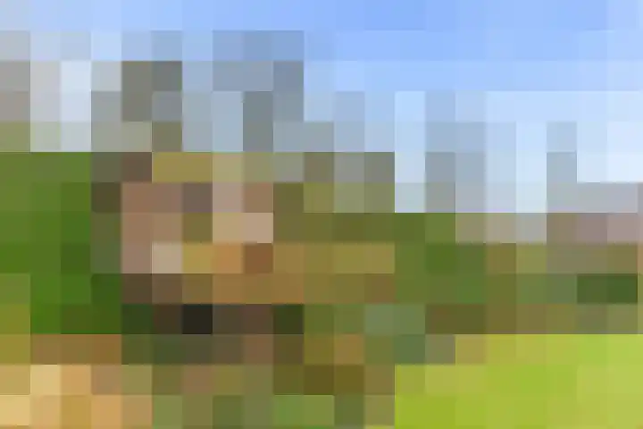 Wisseloordlaan 8 Hilversum thumbnail 50