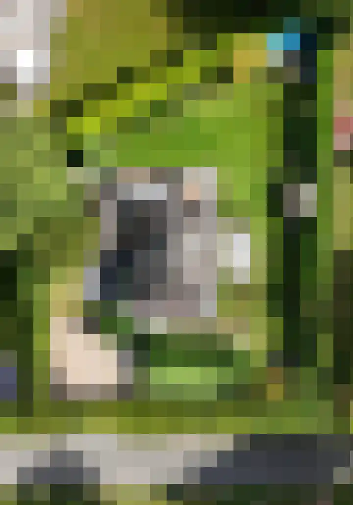 Wisseloordlaan 8 Hilversum thumbnail 53