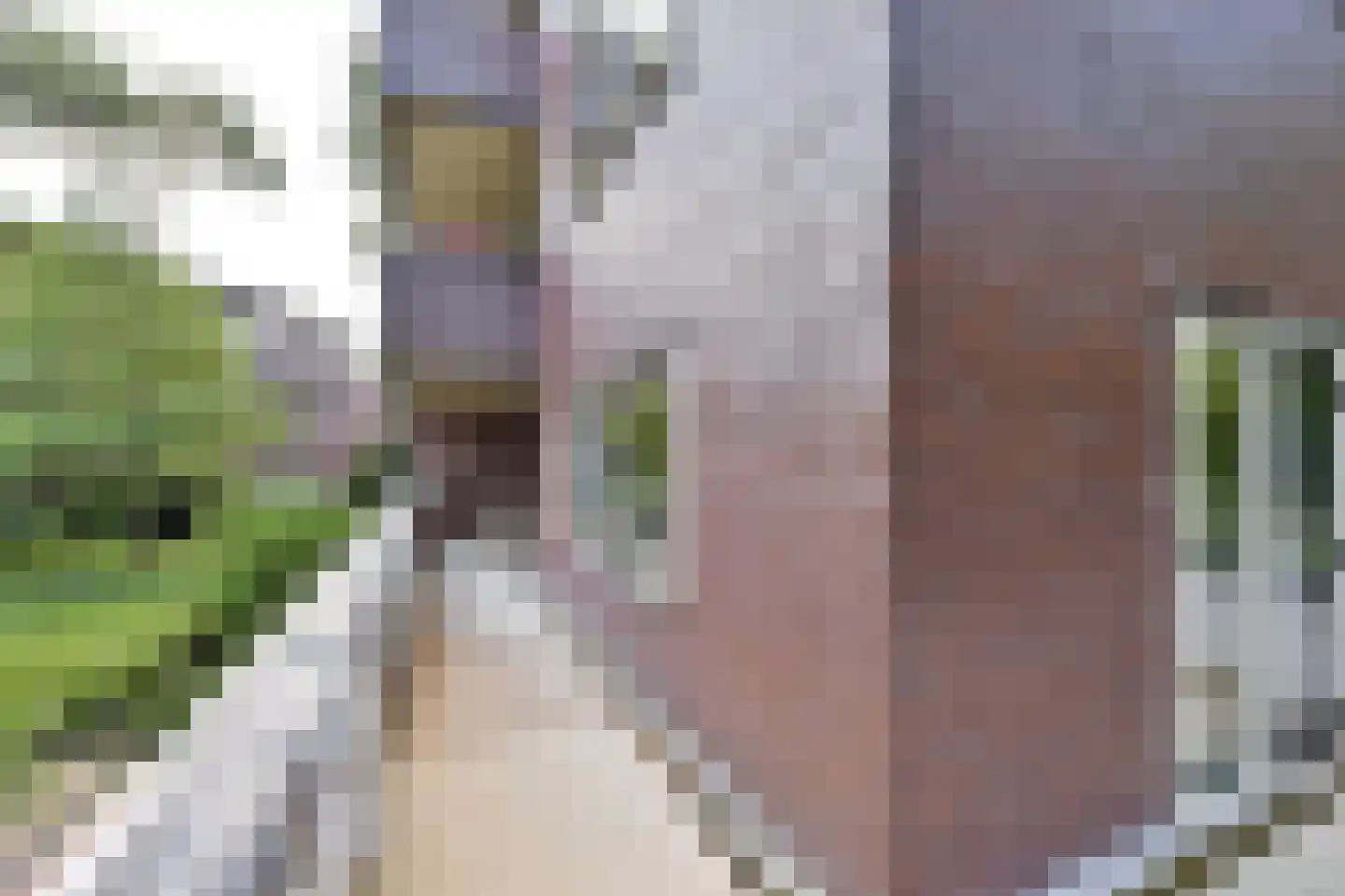 Wisseloordlaan 95 Hilversum thumbnail 12