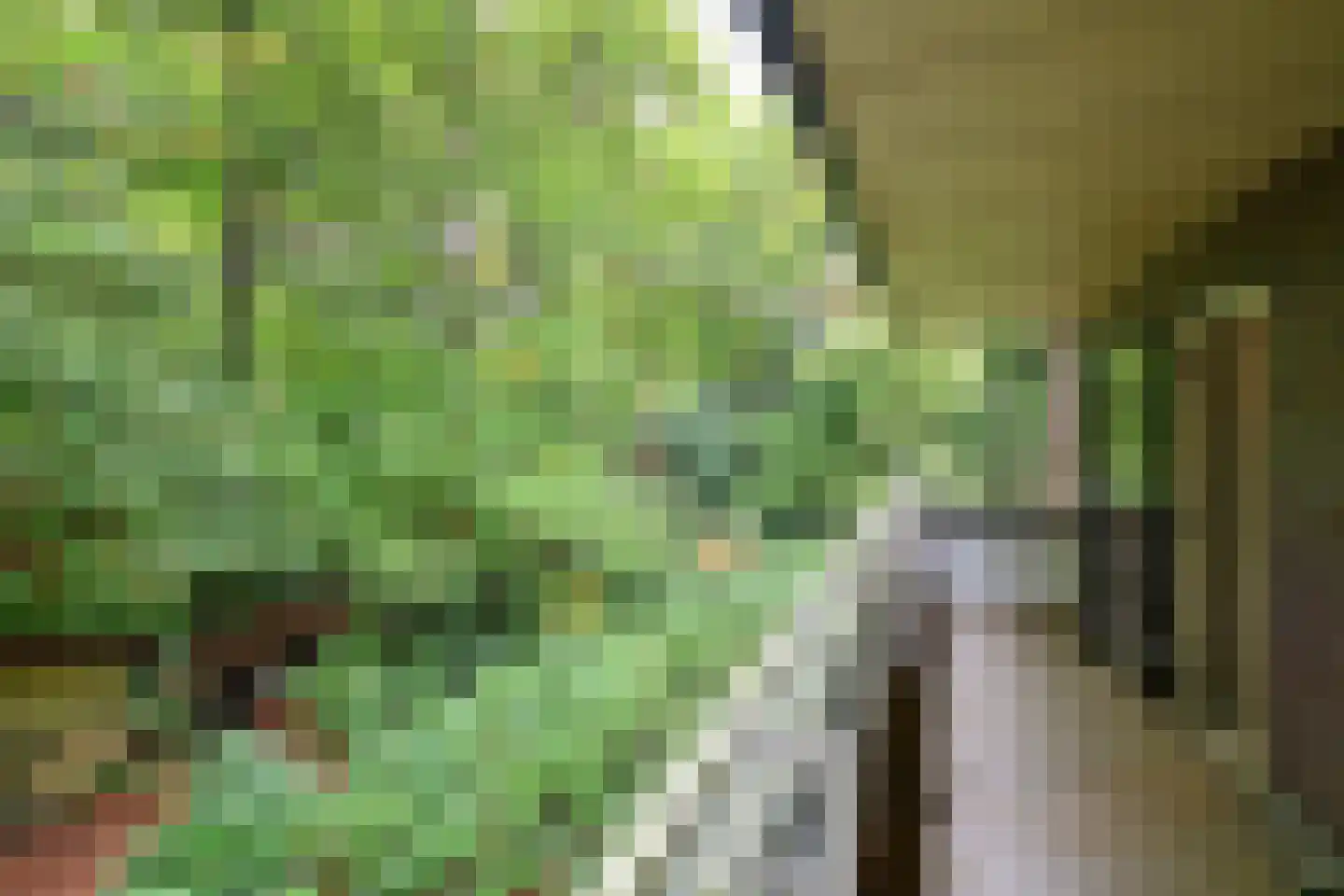 Wisseloordlaan 95 Hilversum thumbnail 17