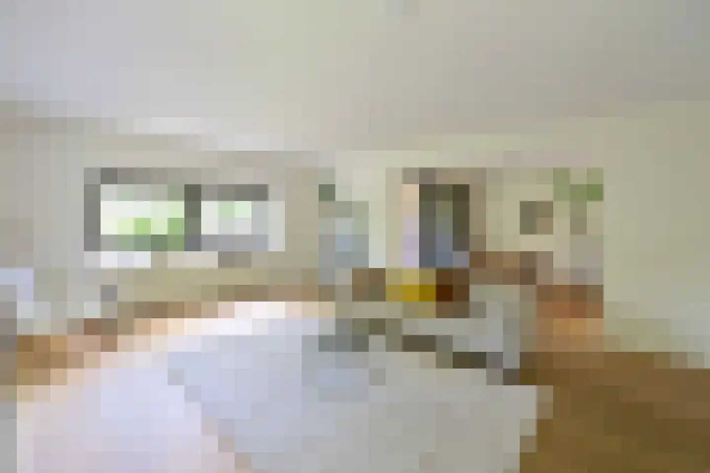 Wisseloordlaan 95 Hilversum thumbnail 5