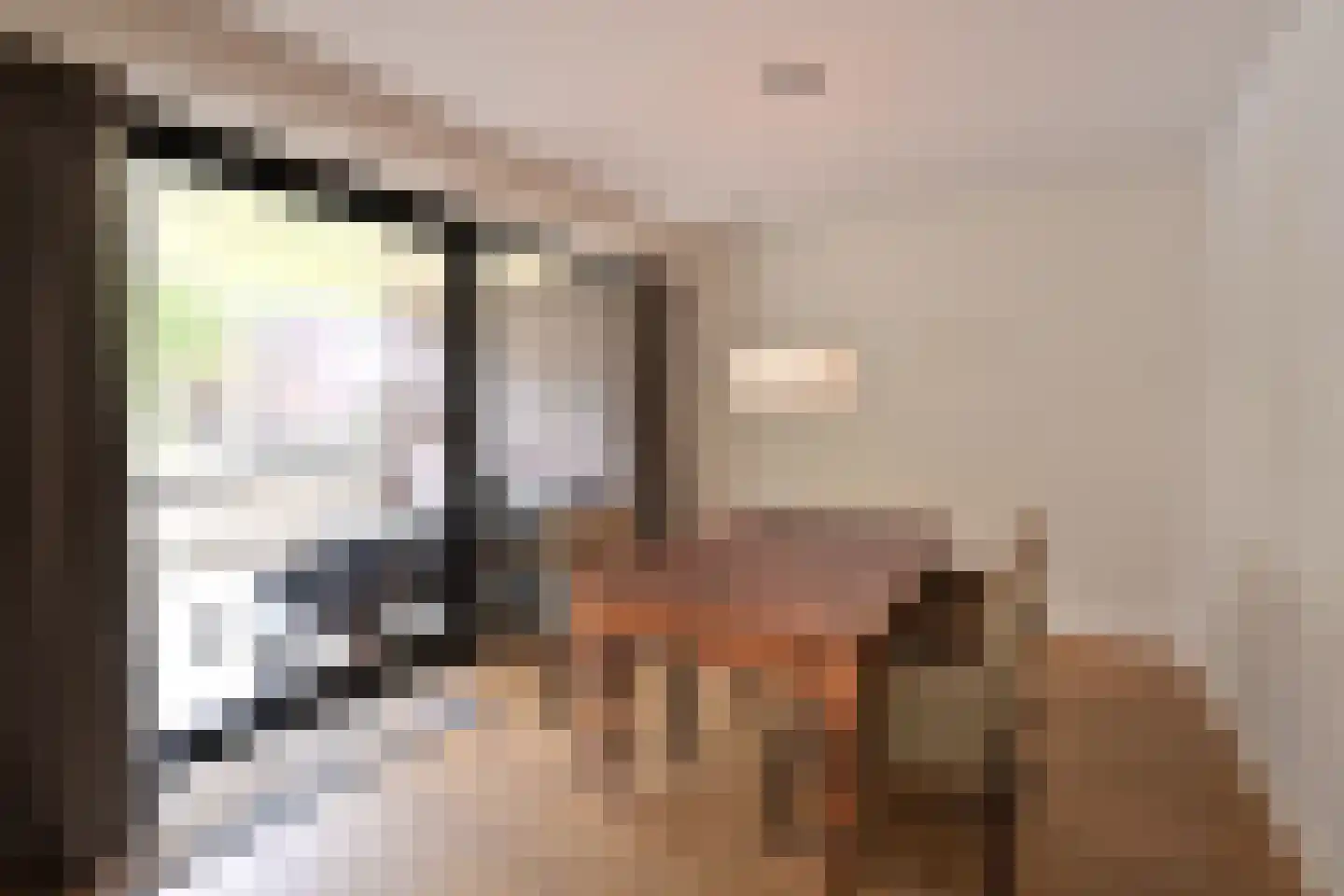 Wisseloordlaan 95 Hilversum thumbnail 5
