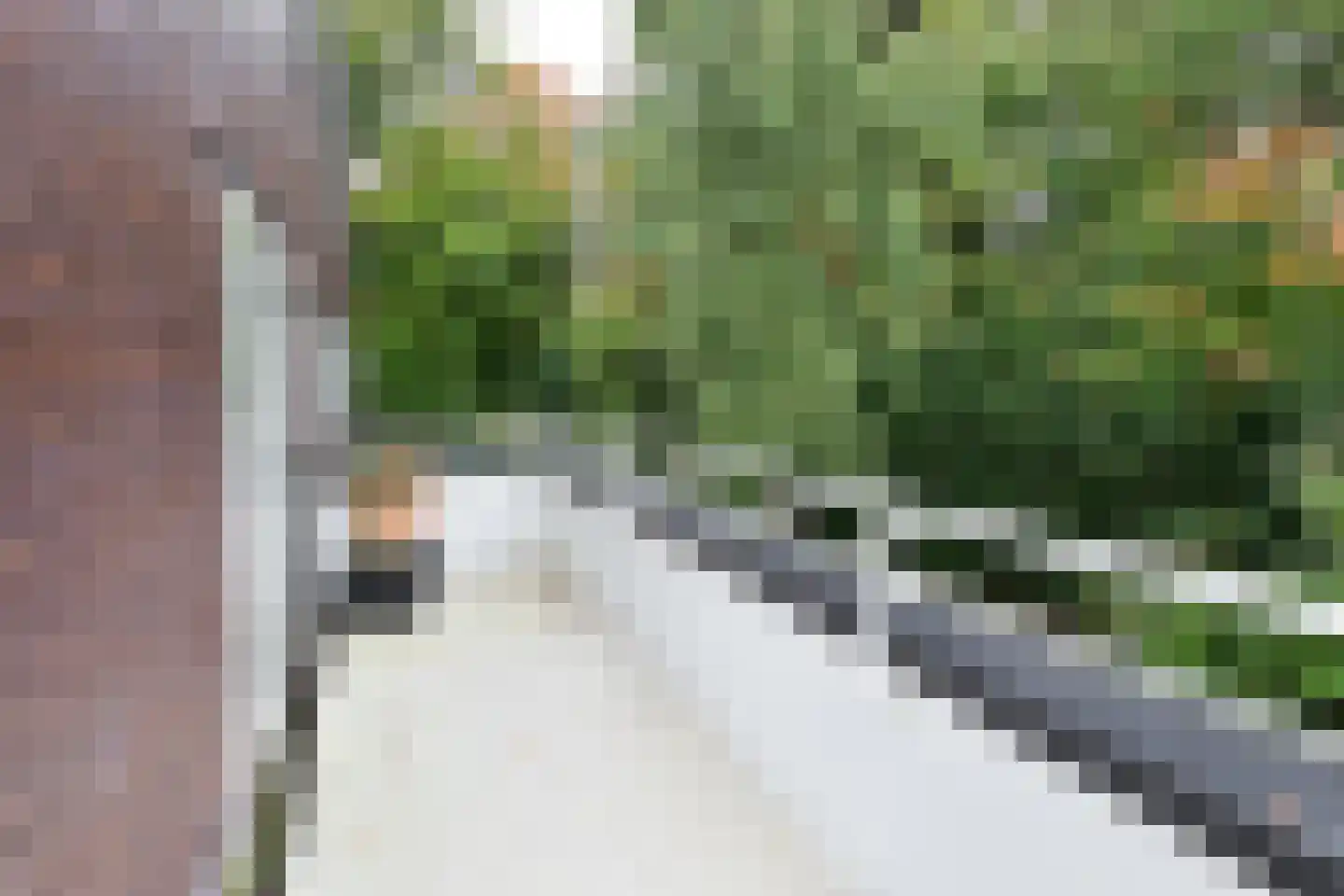 Wisseloordlaan 95 Hilversum thumbnail 8