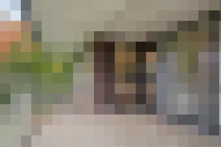 Wisseloordlaan 97 Hilversum thumbnail 9