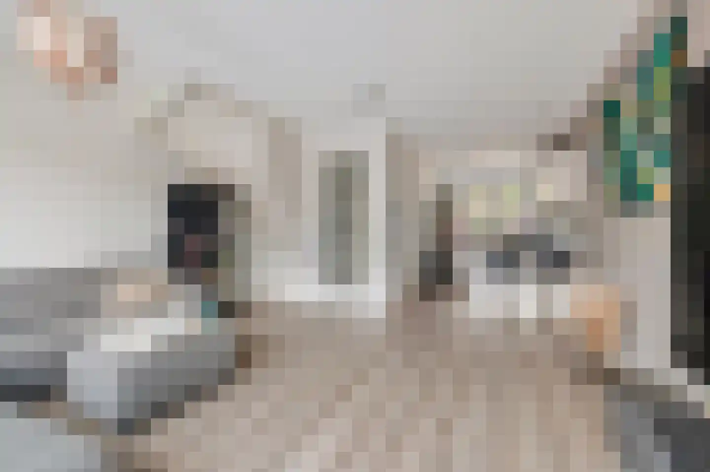 Wisselslag 14 Breda thumbnail 14