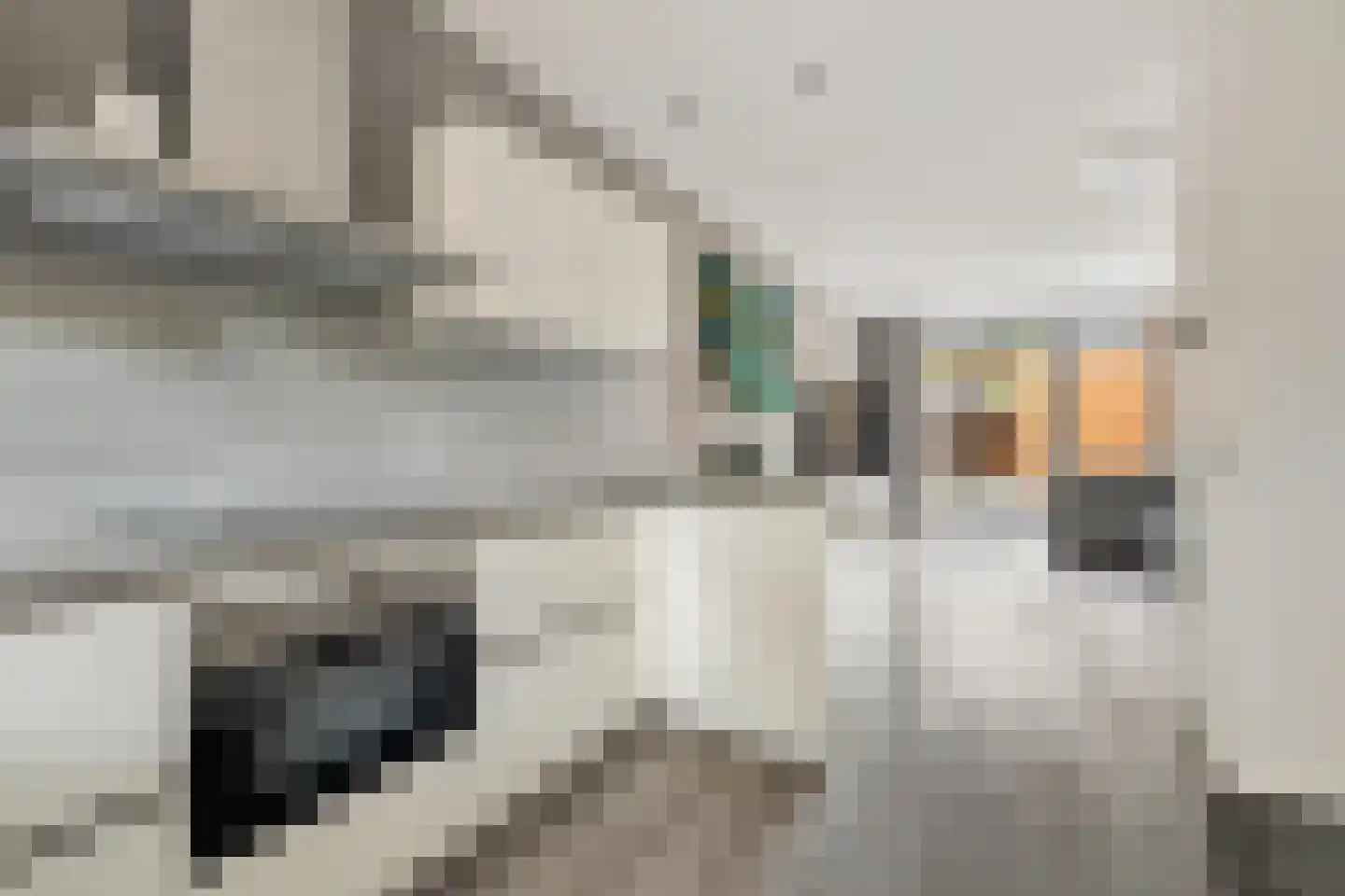 Wisselslag 14 Breda thumbnail 17