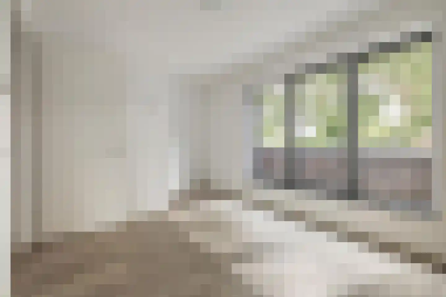 Wisselslag 14 Breda thumbnail 28