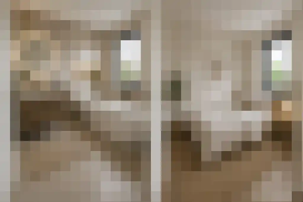 Wisselslag 14 Breda thumbnail 31