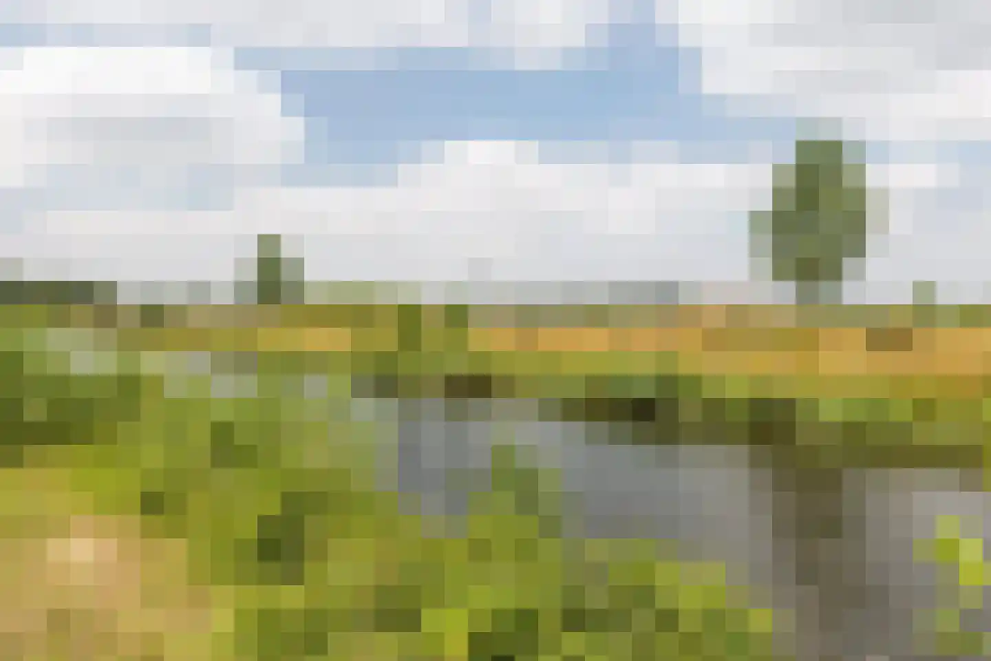 Wisselslag 14 Breda thumbnail 40