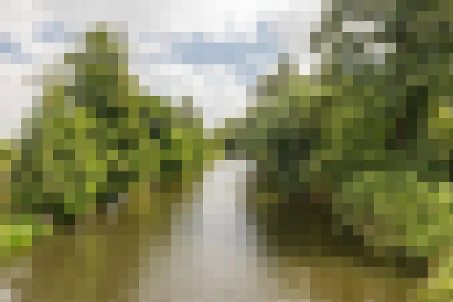 Wisselslag 14 Breda thumbnail 41