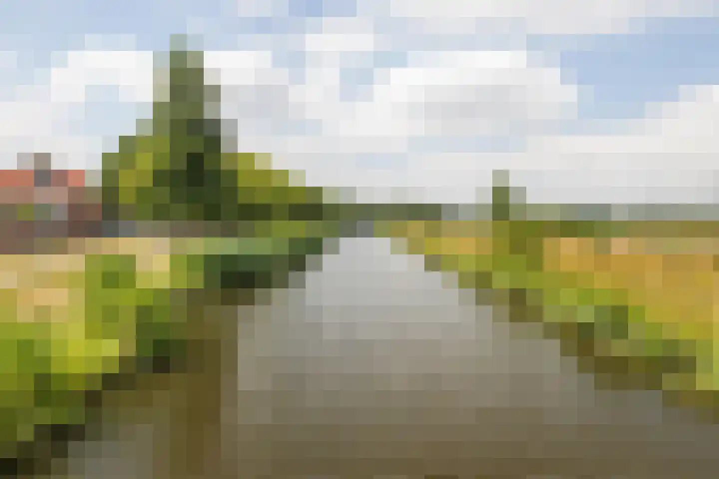 Wisselslag 14 Breda thumbnail 42