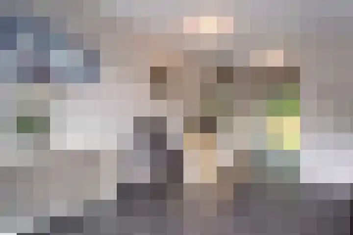 Wisselslag 16 Breda thumbnail 10