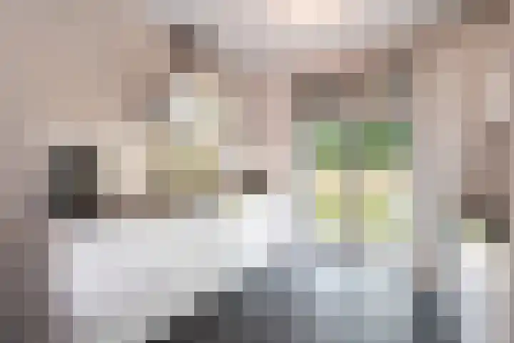 Wisselslag 16 Breda thumbnail 11