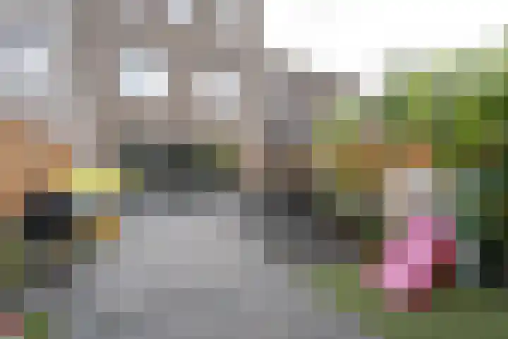 Wisselslag 16 Breda thumbnail 15