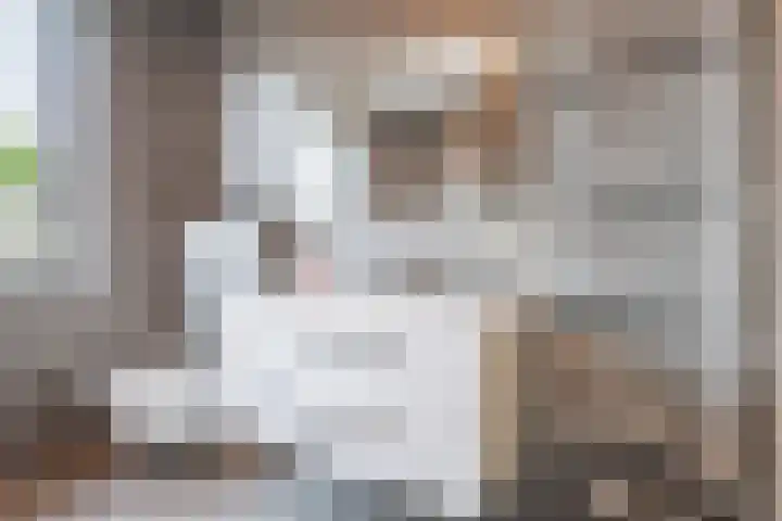Wisselslag 16 Breda thumbnail 25